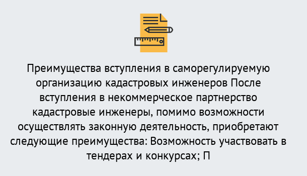 Почему нужно обратиться к нам? Вышний Волочёк Что дает допуск СРО кадастровых инженеров?