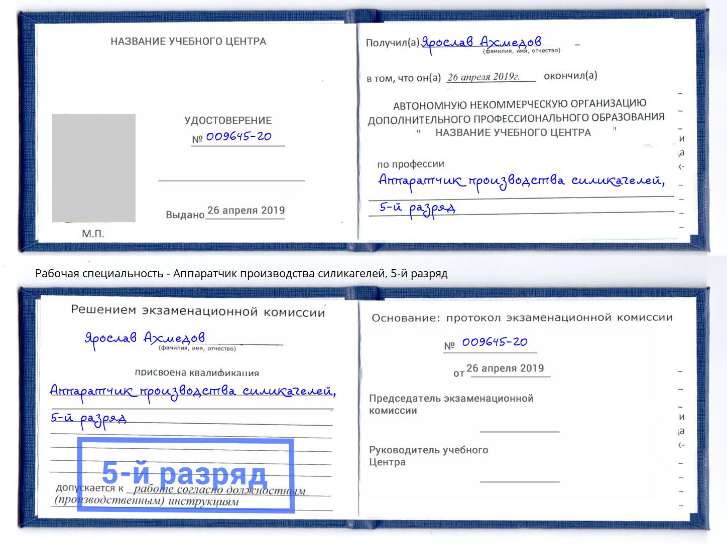 корочка 5-й разряд Аппаратчик производства силикагелей Вышний Волочёк